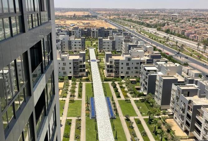 8395041 - Property Image 3