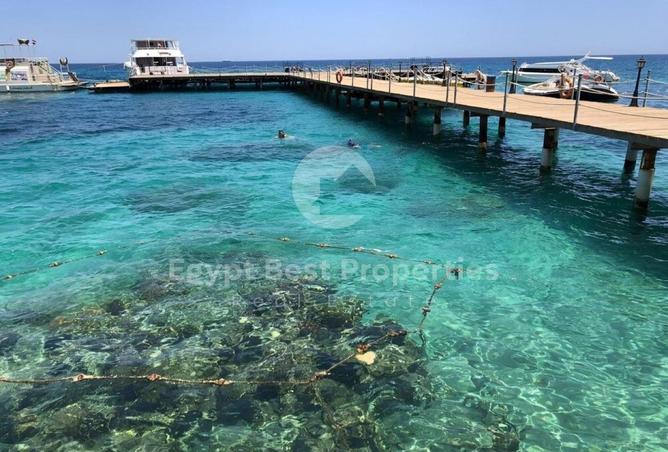 8433892 - صورة العقار 3