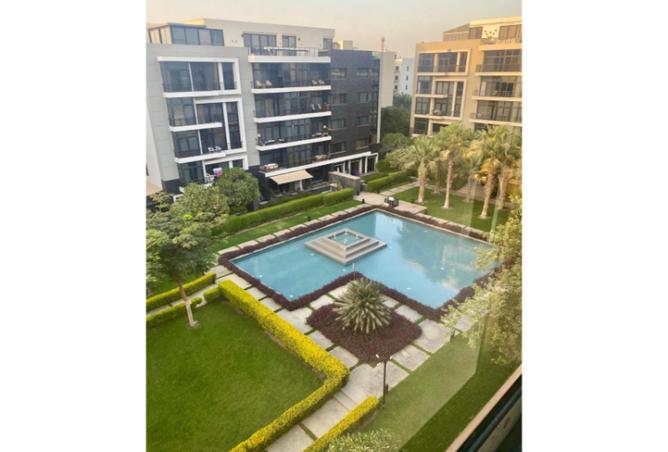 8049087 - Property Image 3