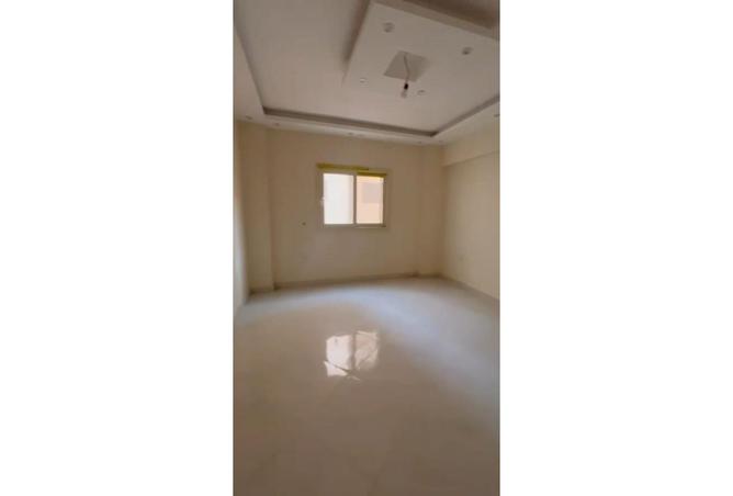 7984814 - صورة العقار 3