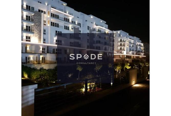 8243776 - Property Image 3