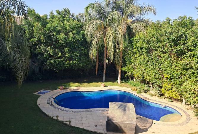 8088809 - Property Image 3
