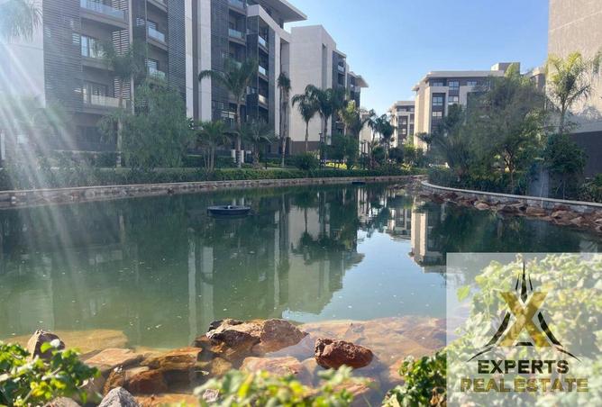 8443639 - Property Image 2