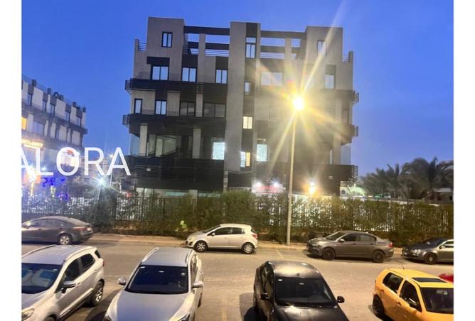 8489462 - Property Image 3