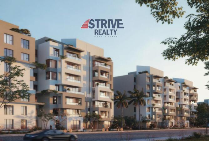 8236592 - Property Image 3