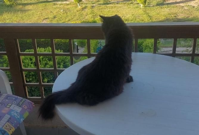 8443064 - صورة العقار 2