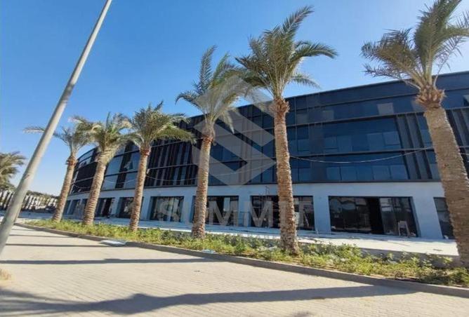 8059038 - صورة العقار 2