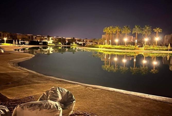 8039593 - Property Image 3