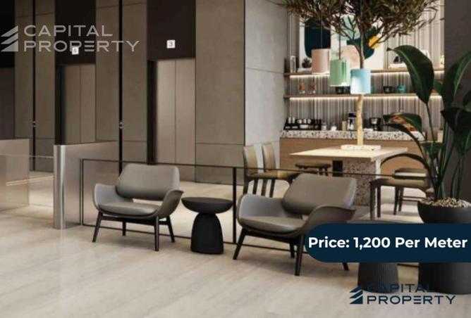 8197833 - Property Image 3