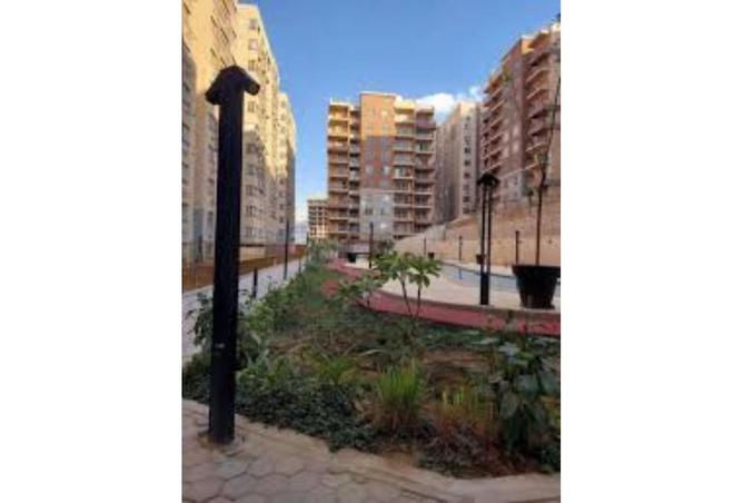 8055283 - صورة العقار 3