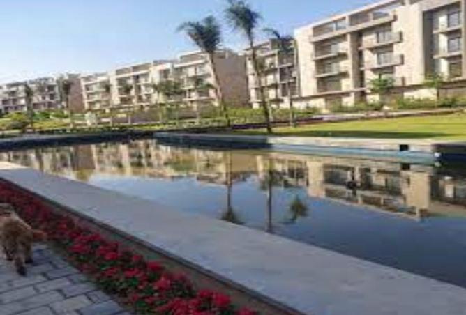 8014319 - Property Image 2