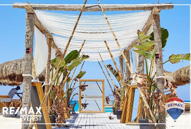 8250754 - Property Image 3