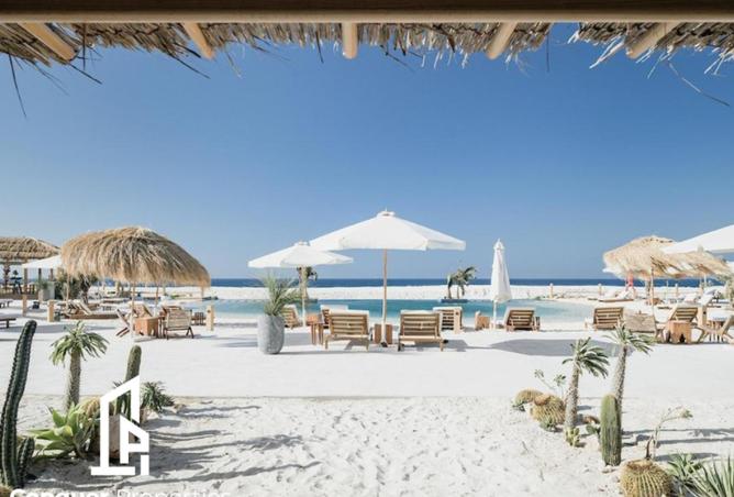 8182604 - صورة العقار 2