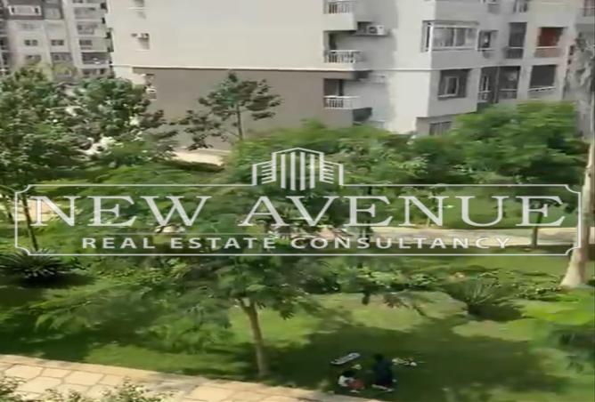 8201995 - صورة العقار 3