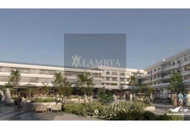 8558745 - Property Image 3