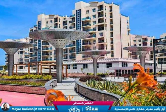 8474120 - صورة العقار 3