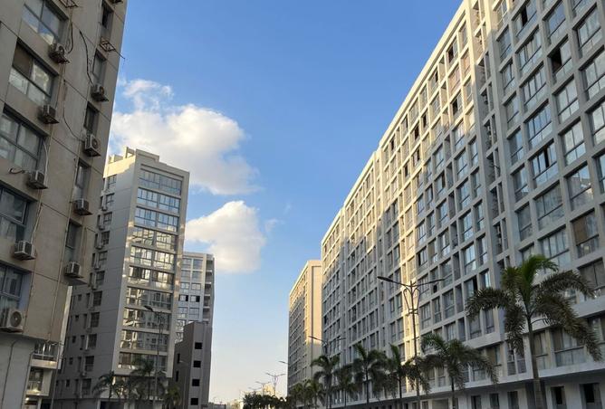 8129428 - Property Image 3