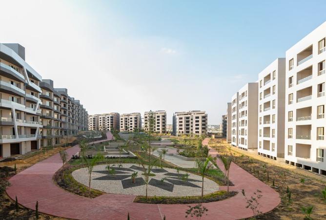 8295711 - Property Image 3