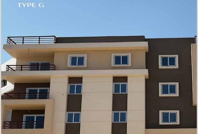 8019501 - Property Image 3