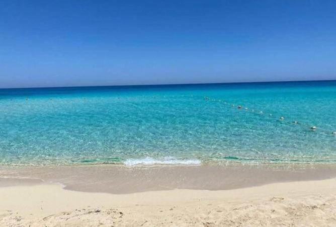 8279574 - Property Image 3