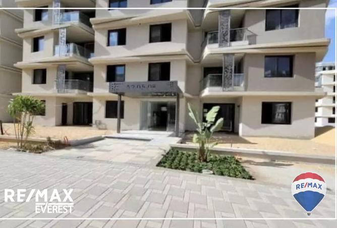 8175382 - Property Image 3