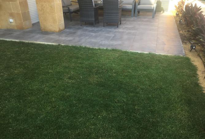 7960155 - صورة العقار 3