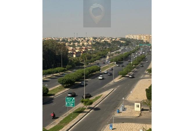 8362025 - Property Image 2