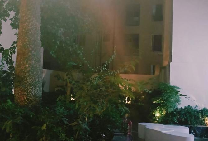 8393555 - Property Image 2