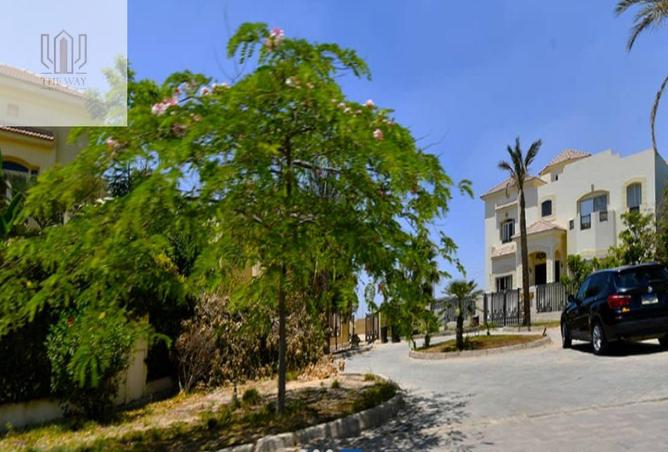 8226805 - Property Image 3