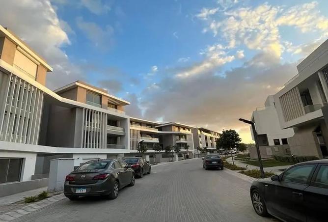 8303018 - صورة العقار 3