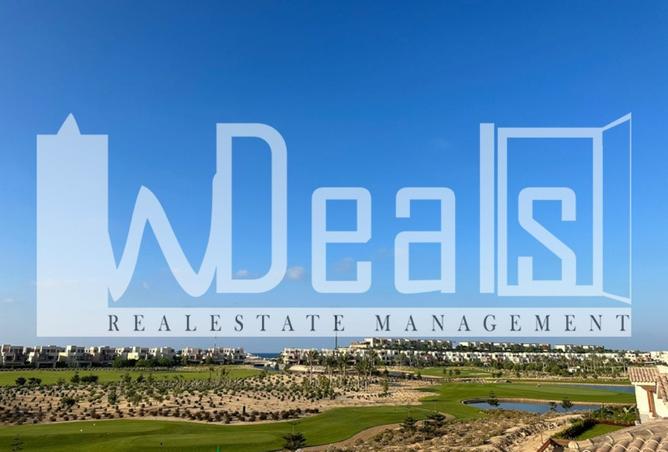 8429189 - Property Image 2