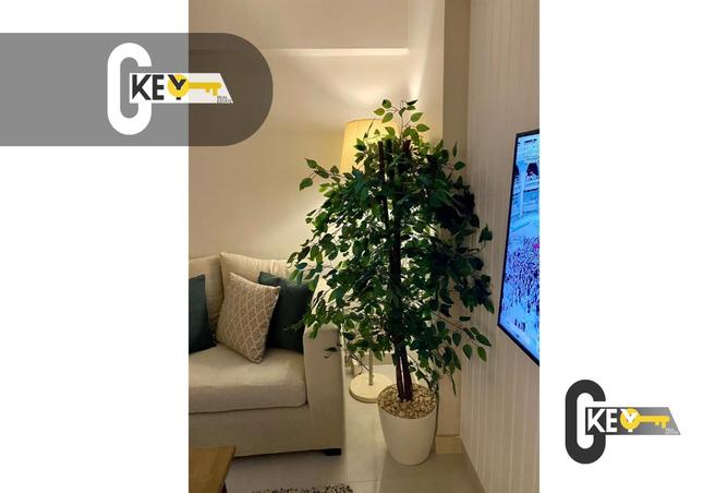 8485079 - صورة العقار 3