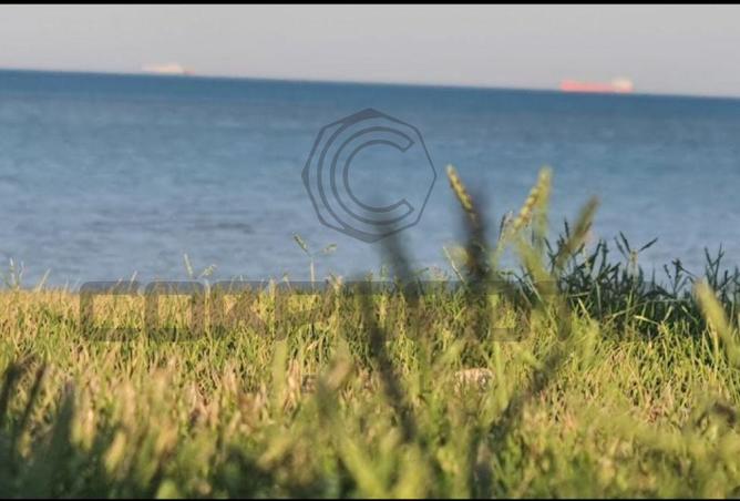 8170937 - صورة العقار 3