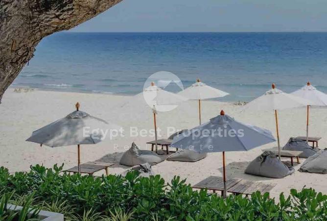 7924593 - Property Image 3