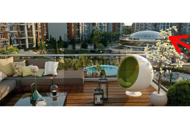 8082175 - Property Image 3