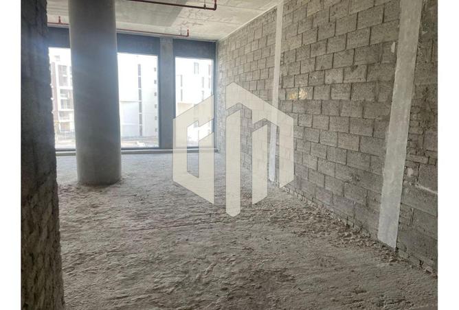 8398246 - Property Image 2