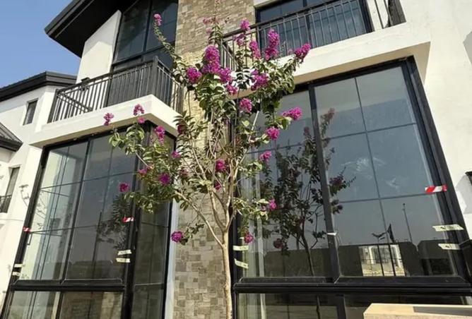 8328336 - صورة العقار 3