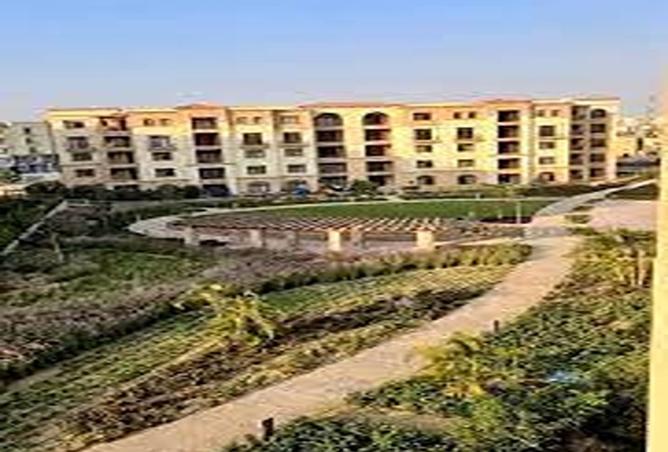 8502926 - Property Image 3