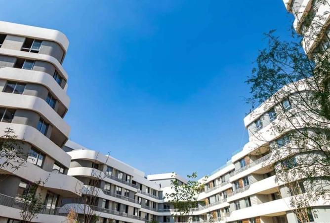 8211701 - Property Image 3