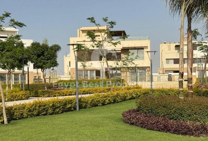 8257872 - Property Image 3