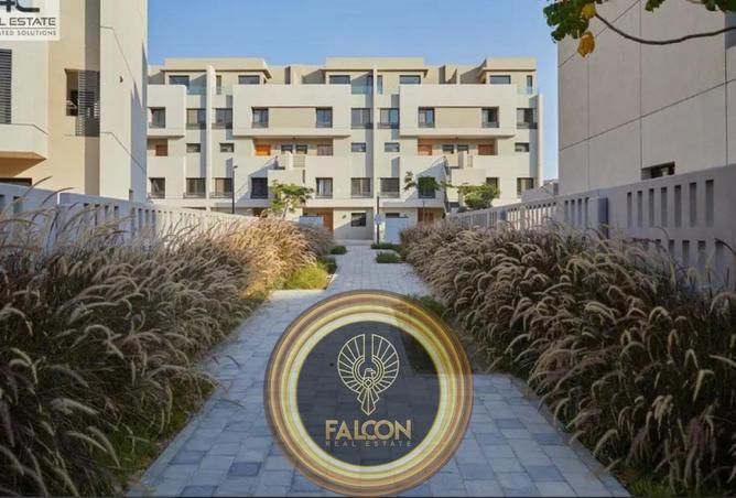 8425882 - Property Image 3