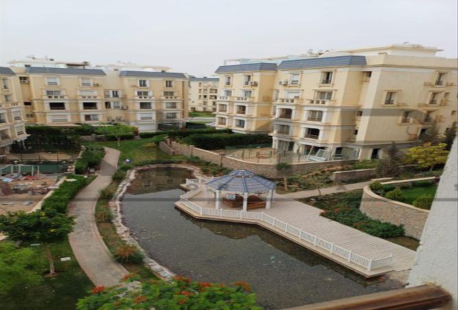 7975468 - صورة العقار 2