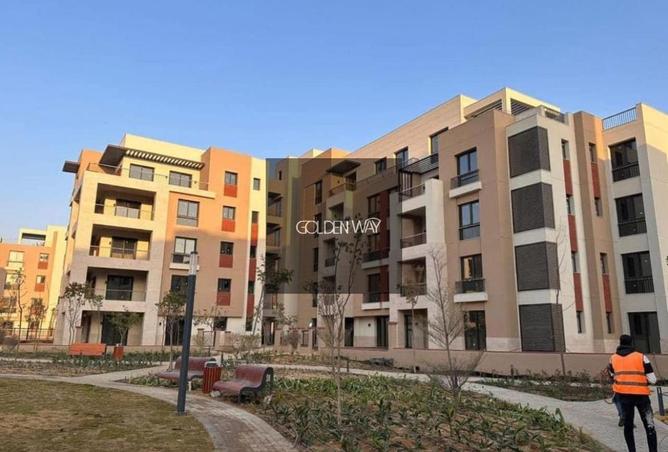 8453253 - Property Image 3