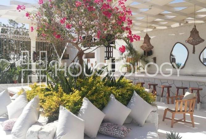 8333030 - صورة العقار 3