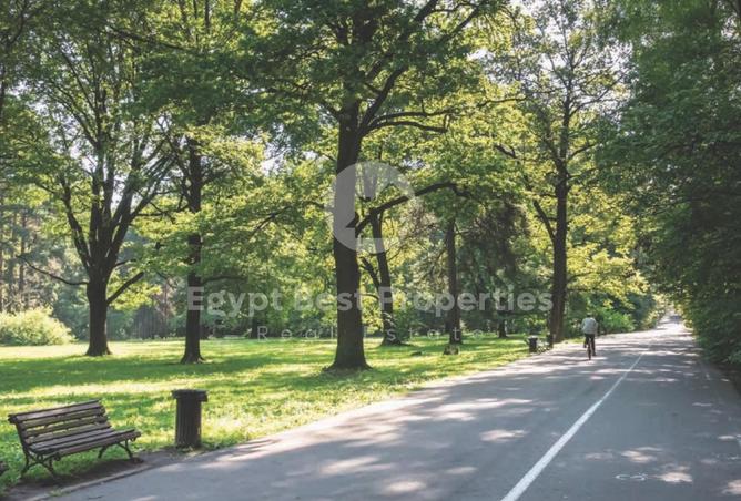 8468032 - صورة العقار 3