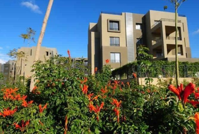 8223359 - صورة العقار 3