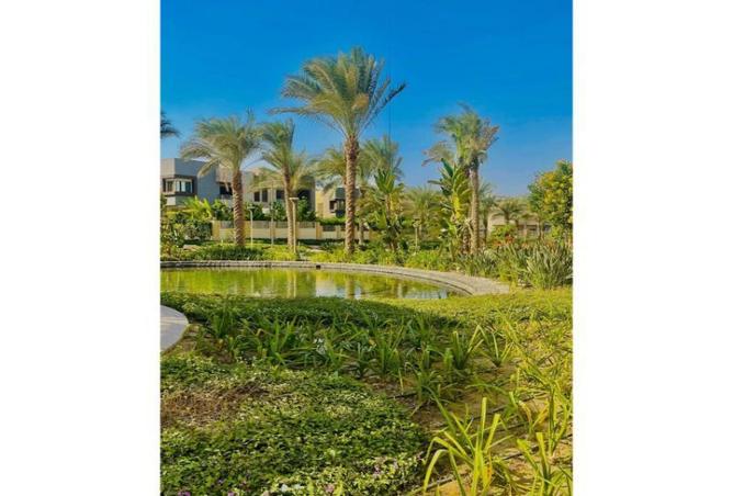8026843 - صورة العقار 3