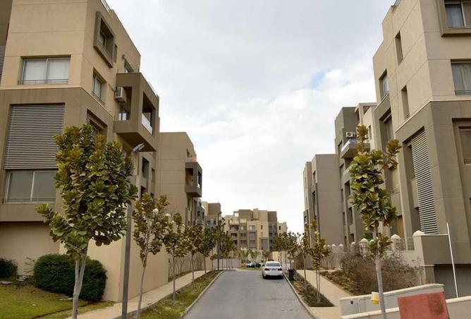 8462645 - صورة العقار 2