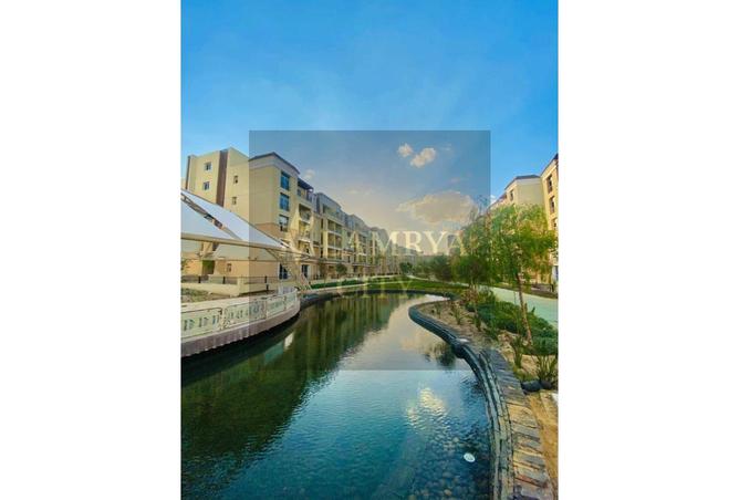 8017377 - Property Image 3