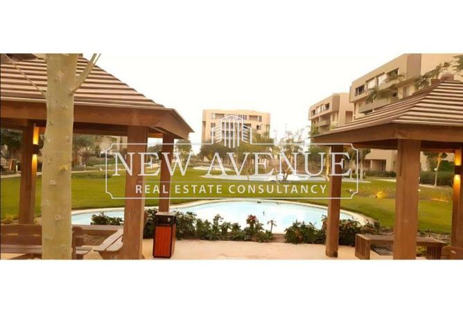 8319212 - Property Image 3